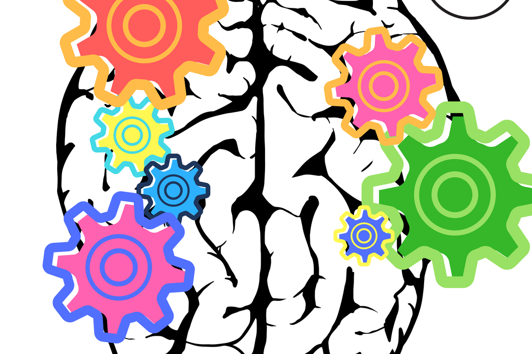 Cognitive biases - Behavioral Series