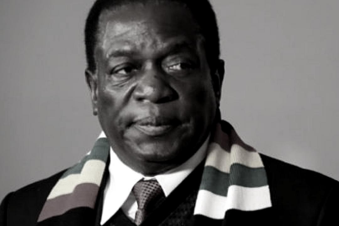 Emmerson Mnangagwa - Guns, Trade, and Land Expropriation