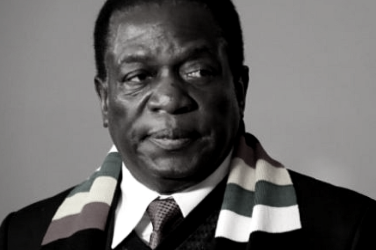 Emmerson Mnangagwa - Guns, Trade, and Land Expropriation