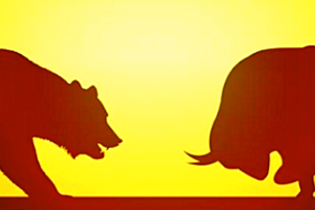 News Flash - Bull or Bear