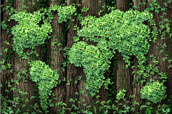 Green – not just the colour of money