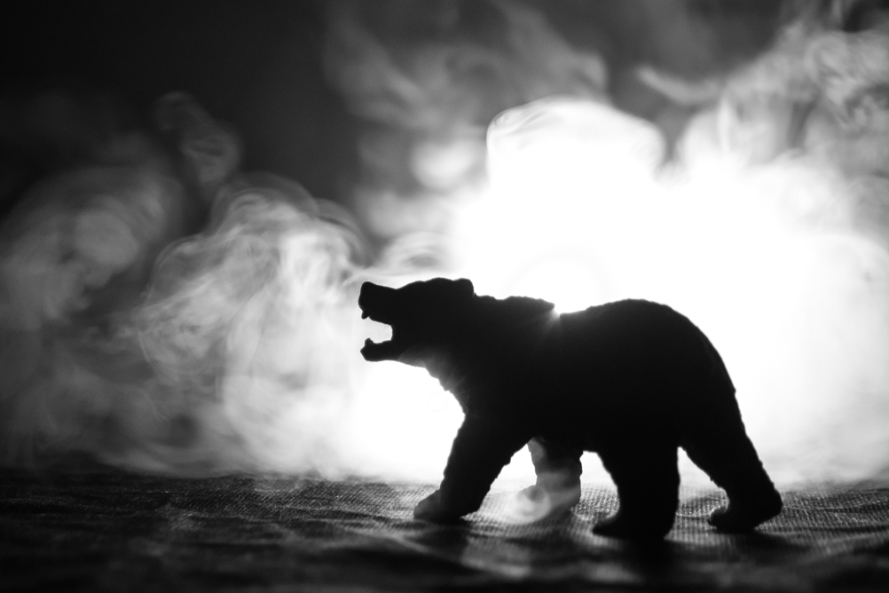 Searching for the bear market trough