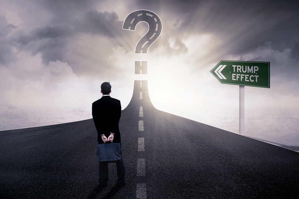 Living with political uncertainty